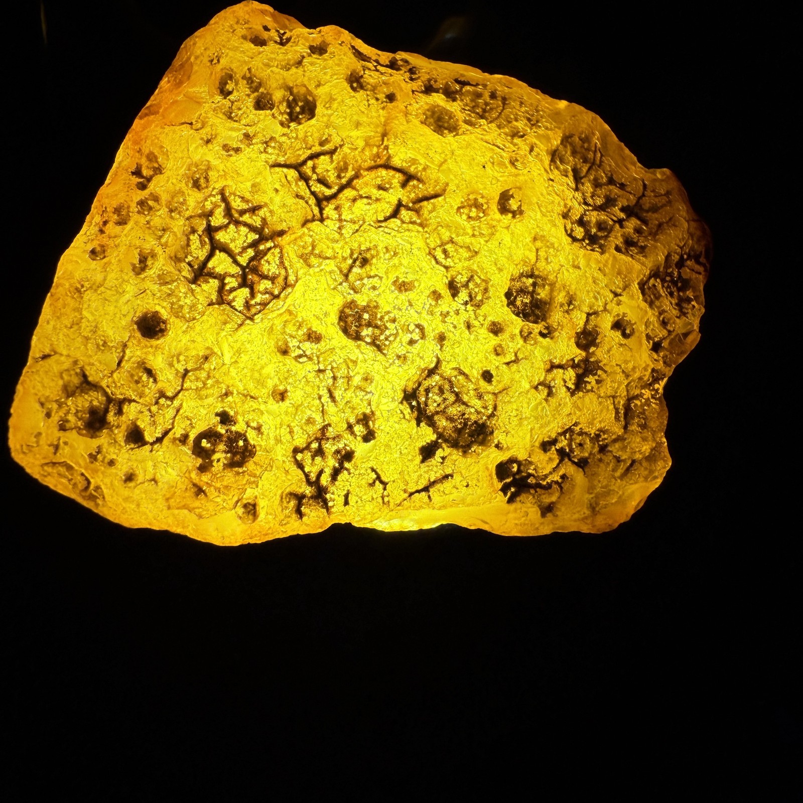 Antique raw cognac Whole Stone natural Amber 60g