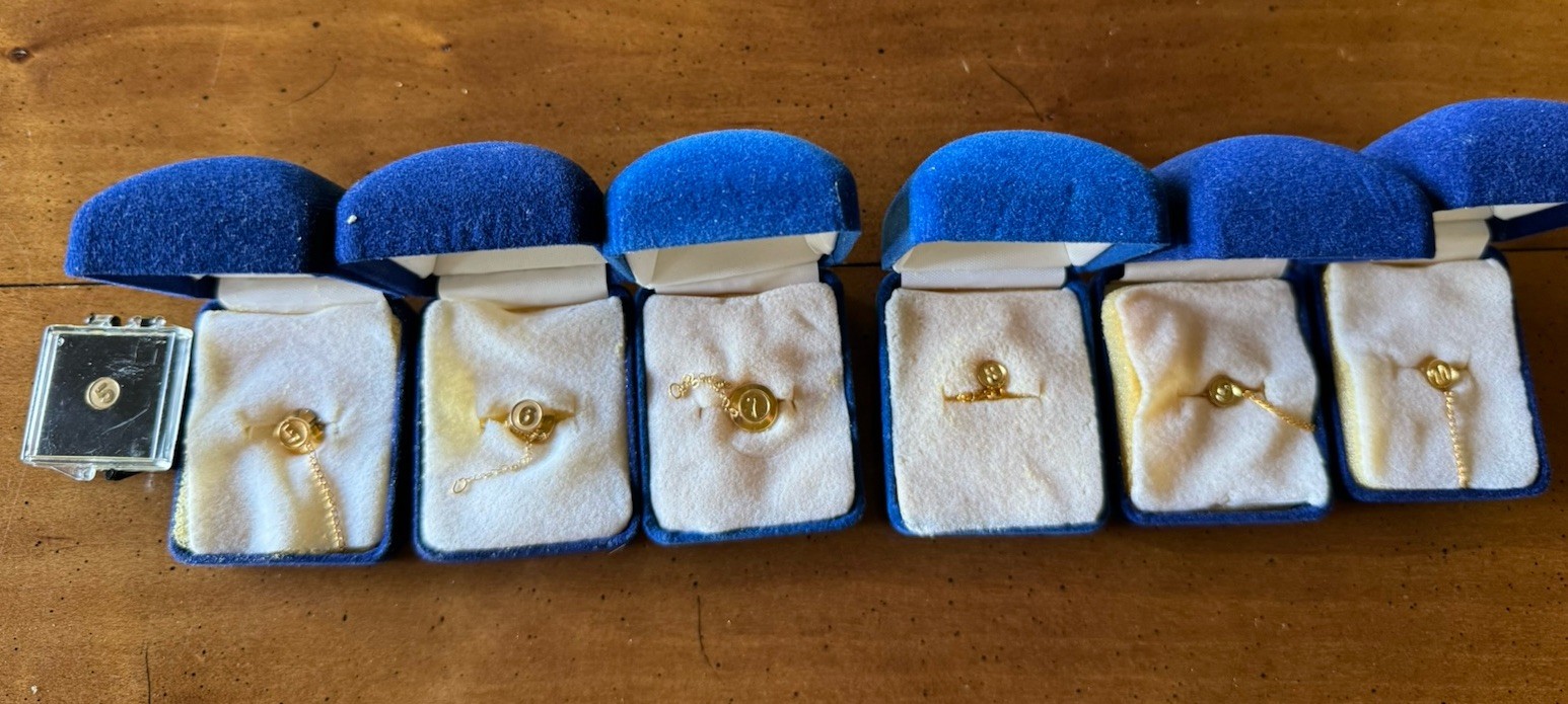 Anniversary Dangle Pins Years 5 Through 10
