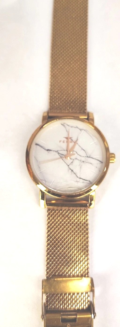 Ferro Watch F2792 CWT