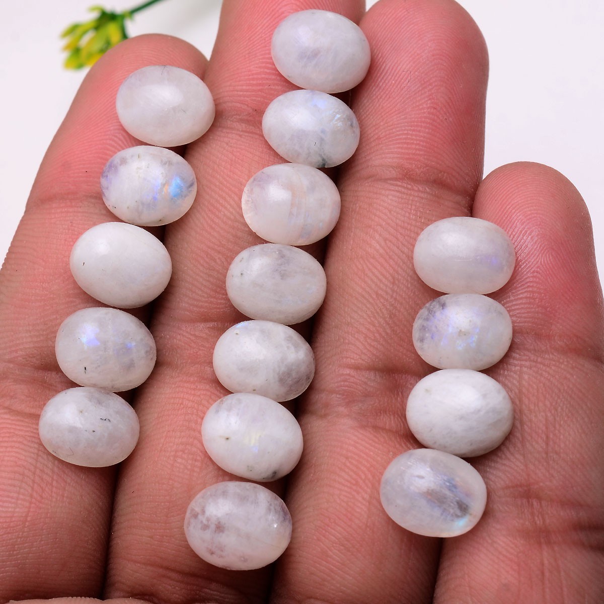 16 Pcs Natural Blue Shine Moonstone 11mmx9mm Oval Cabochon Untreated Gemstones