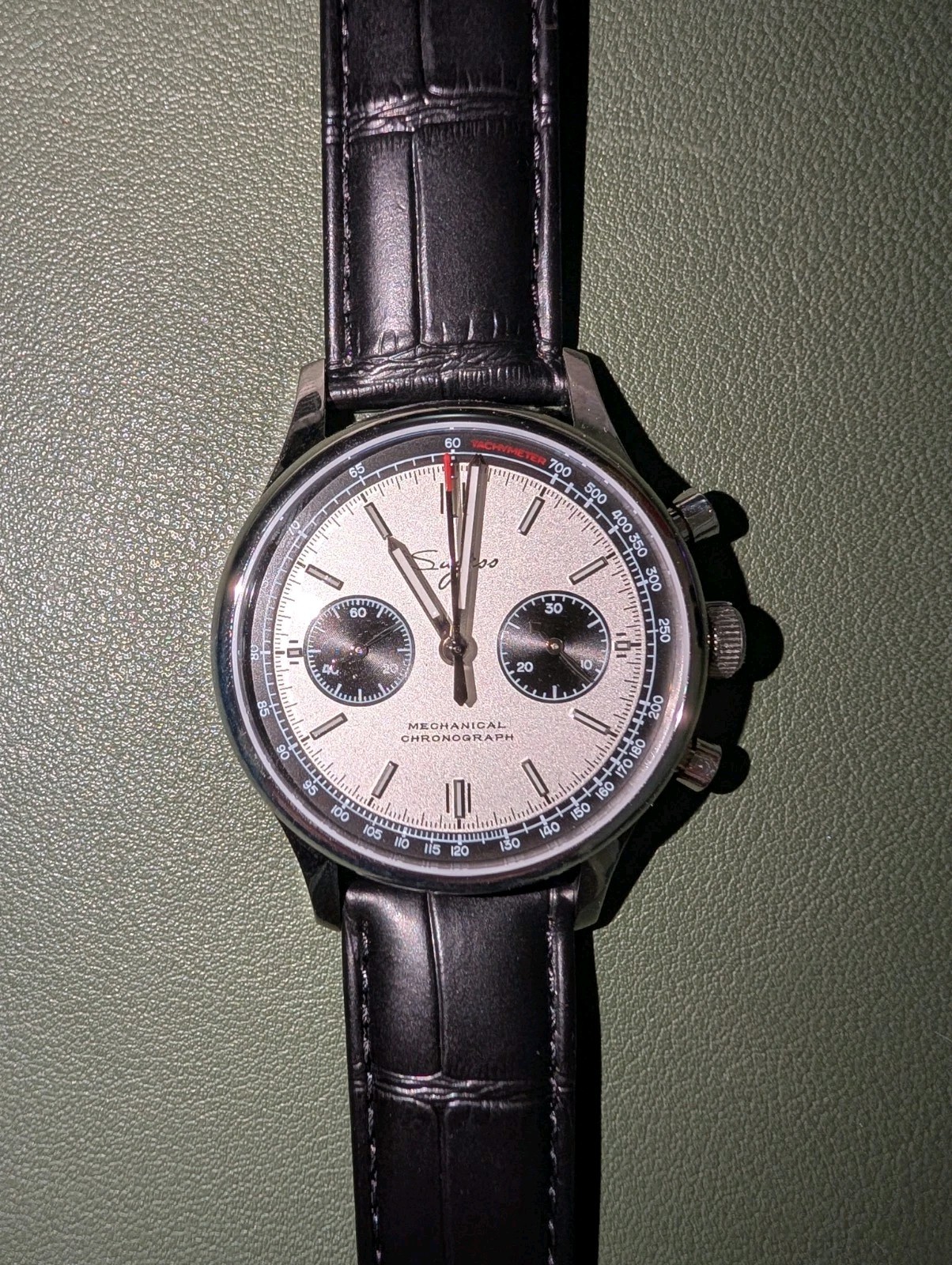 Sugess 1963 Panda LE ST1901 Swan Neck Sapphire Chronograph 40mm BNIB
