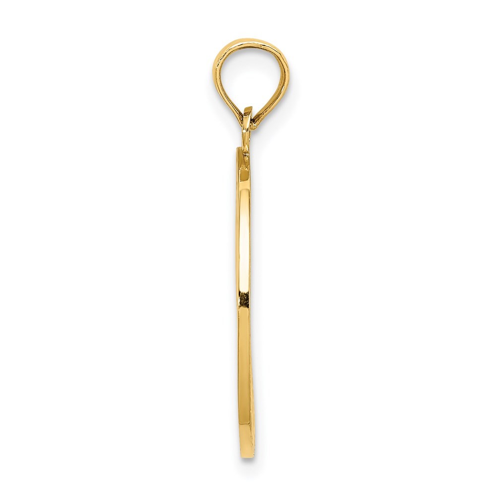 14k Yellow Gold TRAVERSE CITY MI Enamel Cherry Charm Pendant for Women 1.95g