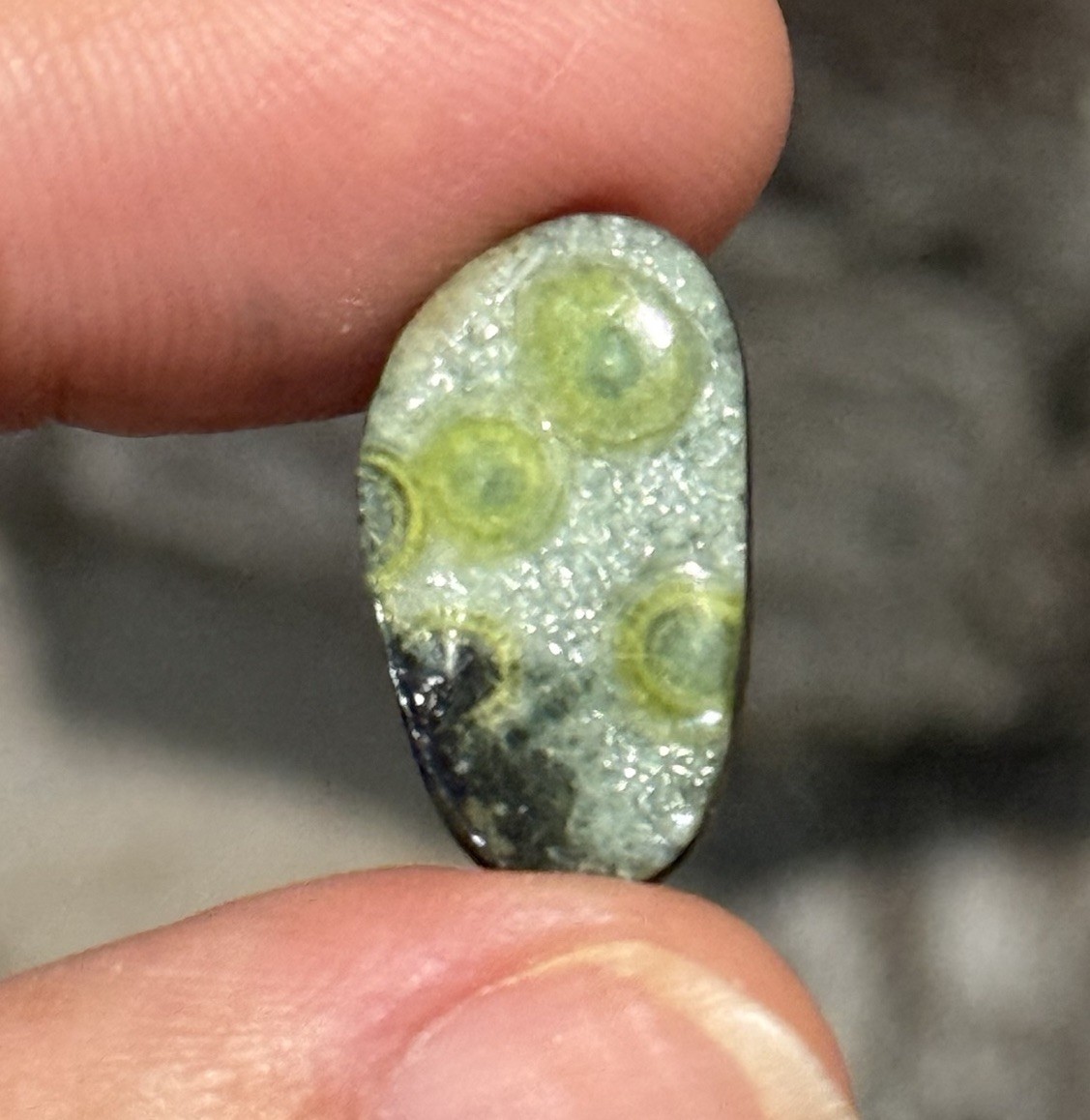 6.5ct 19.2x11x3.6mm Rare Lime Green Wavelite Free Form Polished Cabochon Gem