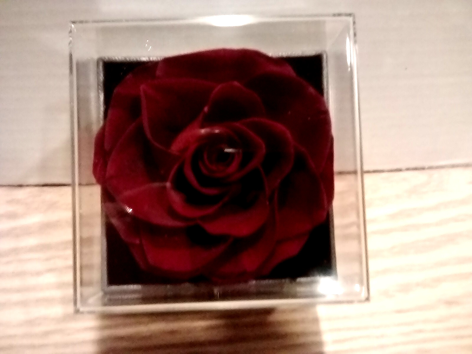 BEST MOM EVER Necklace Preserved Real Rose Christmas Birthday Mother’s Day Gift