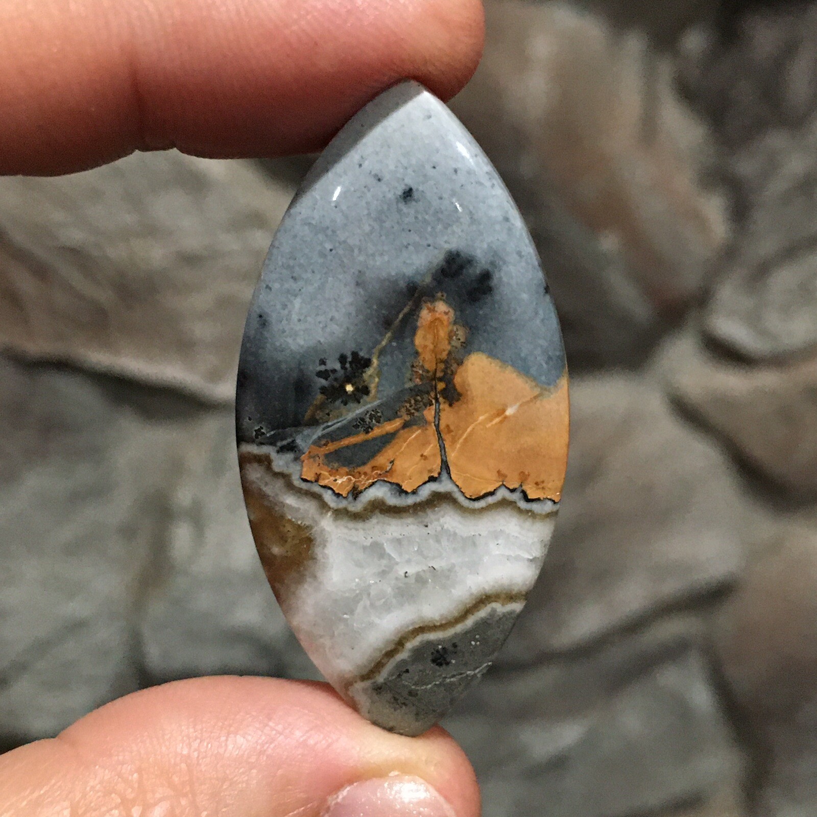 48×23.5×6.9mm Scenic Maligano Jasper Oval Cabochon Collectors Picture Stone