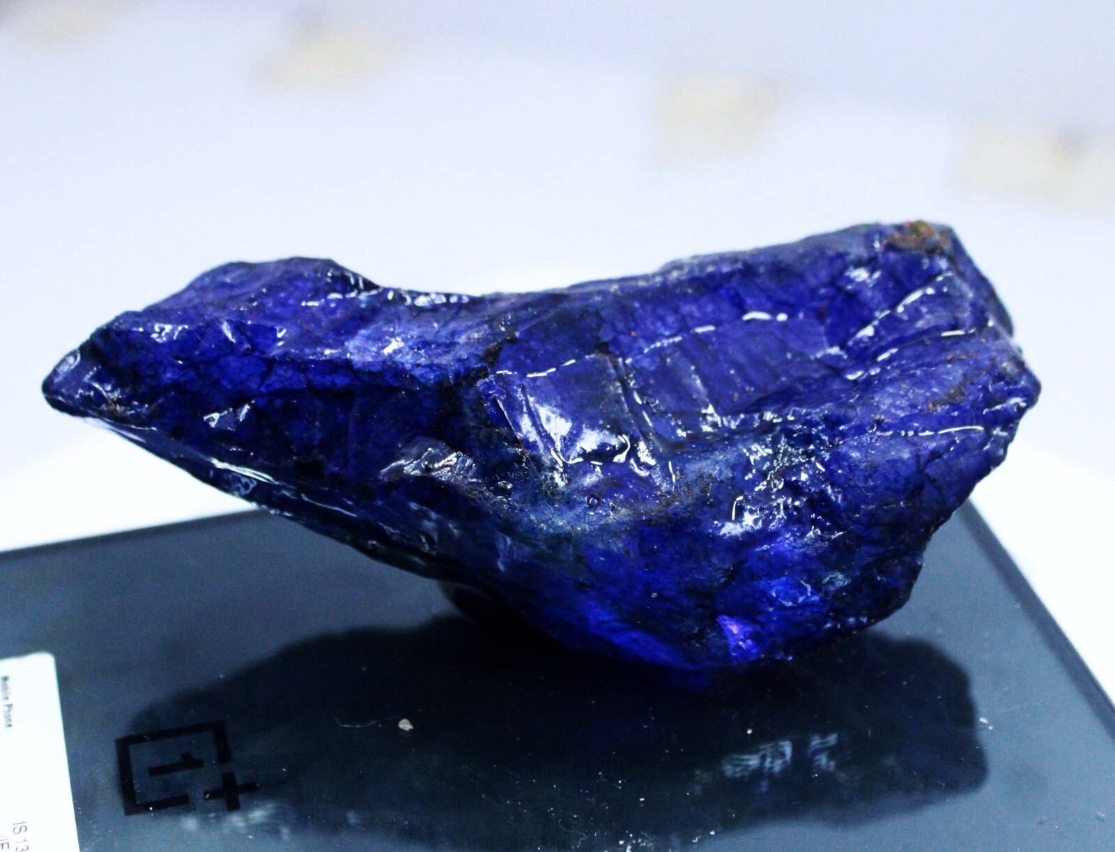 482 Ct Natural Tanzanite Blue Earth Mined Huge Rough CERTIFIED LOOSE GEMSTONE