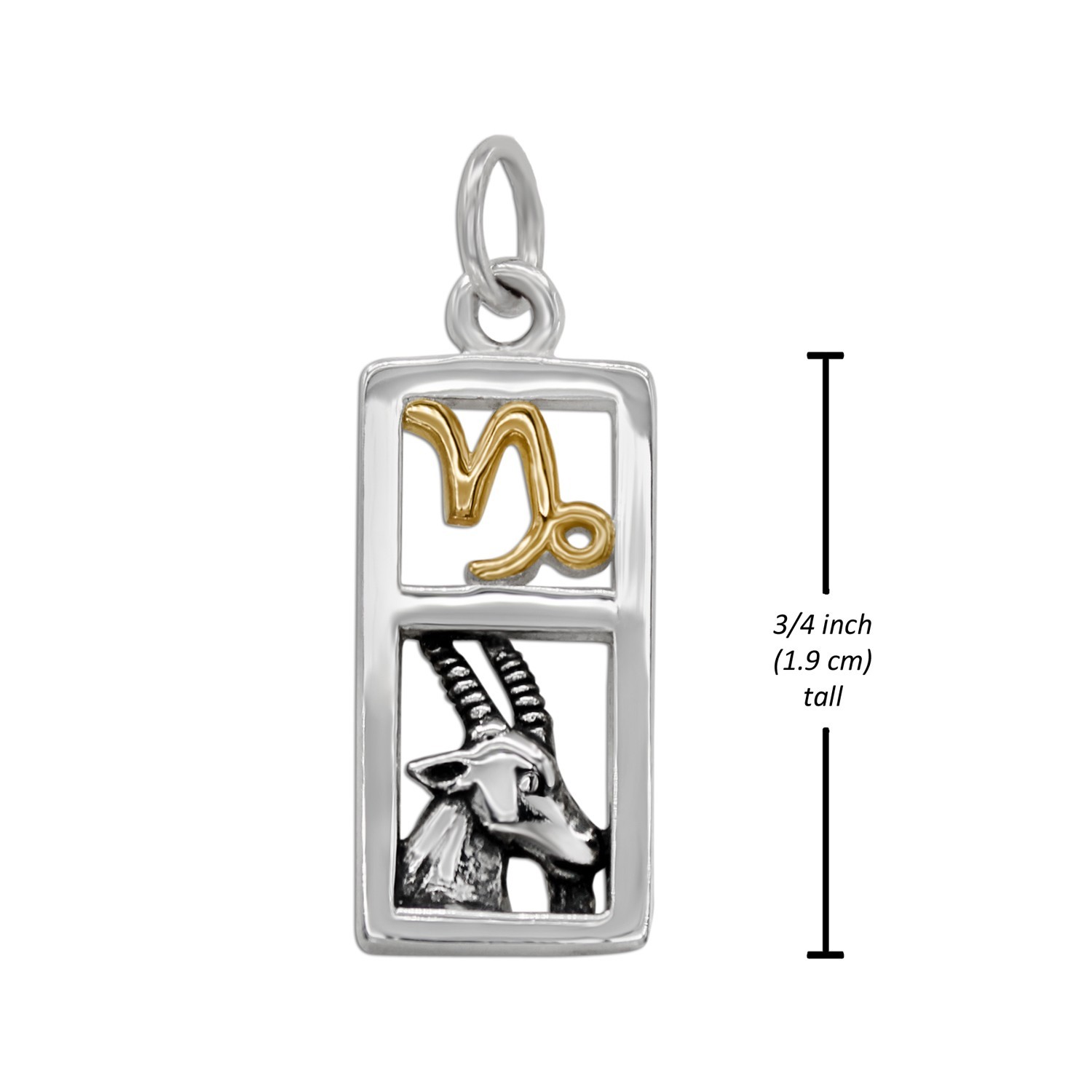 Capricorn Sign Sterling Silver Zodiac Pendant Charm Astrology Jewelry