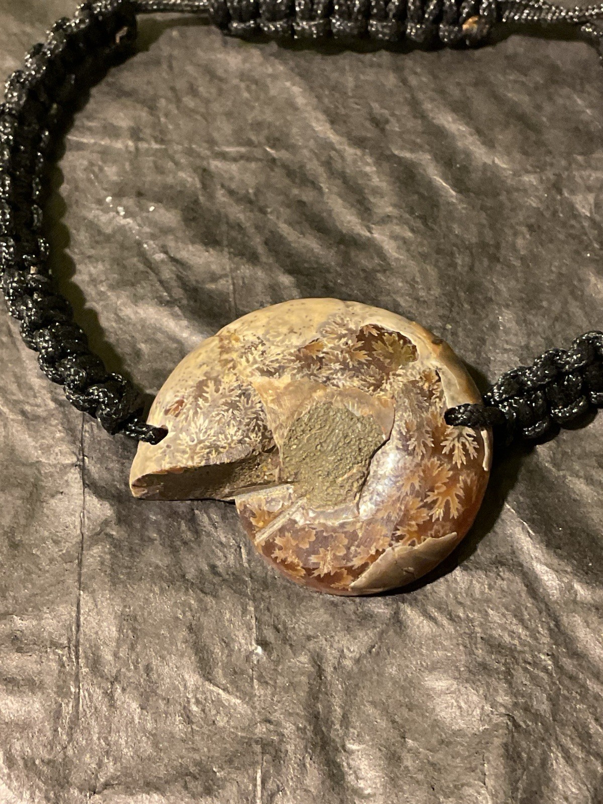 Ammonite Fossil Cord Bracelet