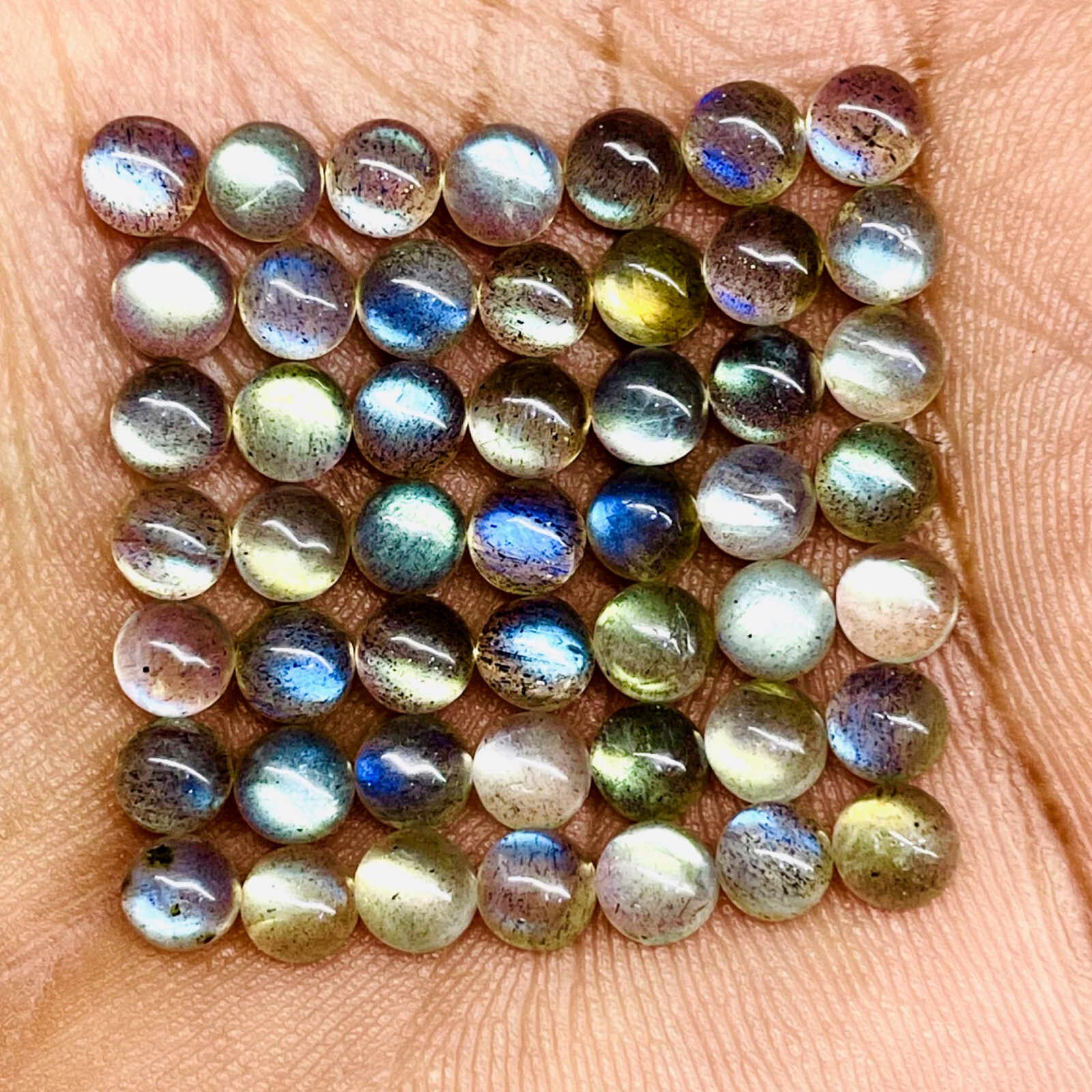 50 Pcs Natural Labradorite 5mm Round Top Quality Loose Cabochon Gemstones Lot