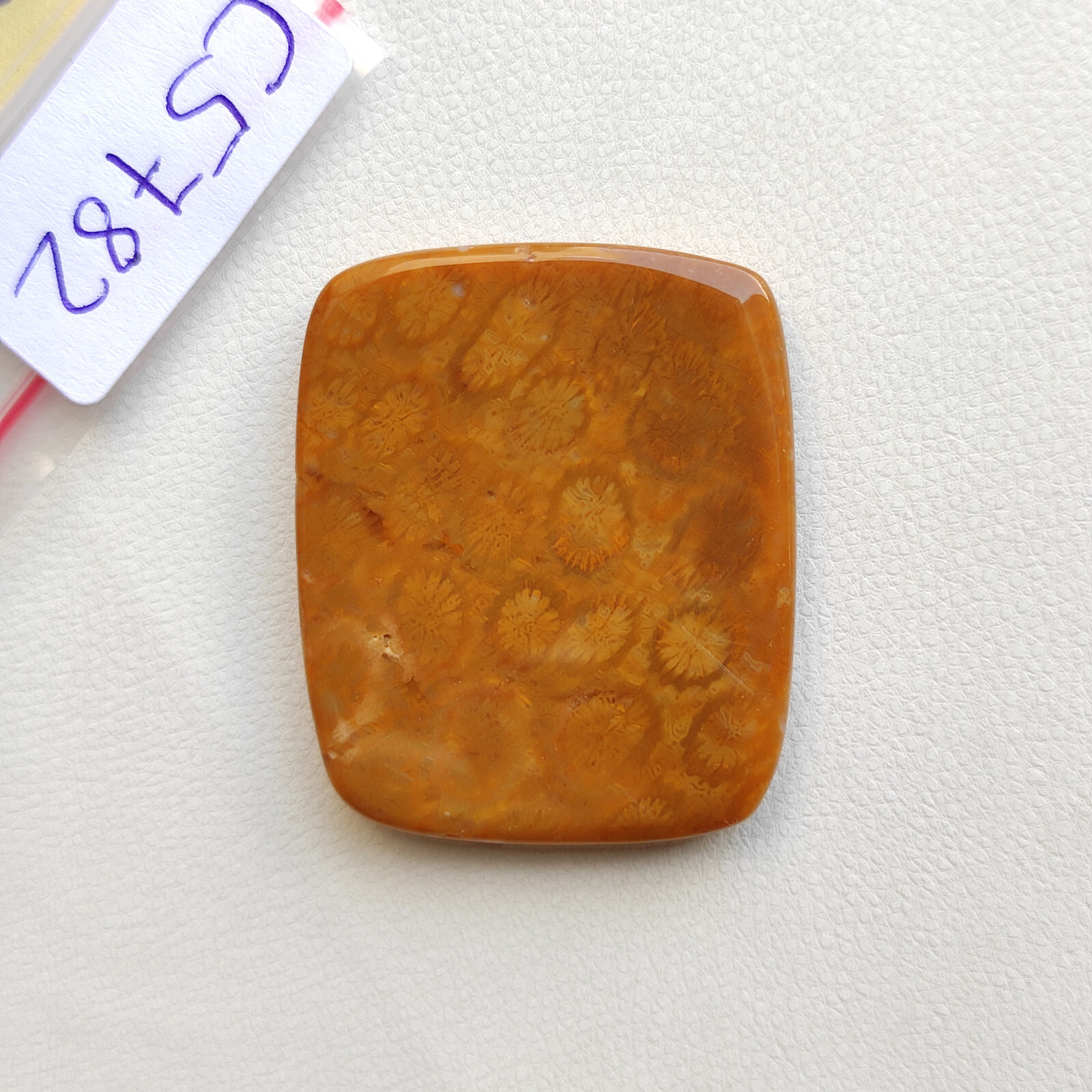 Brown fossil coral flatback cabochon loose fossilized coral handmade stone C5782