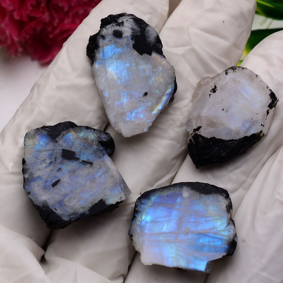 Blue Aurora~ Set Of 4 Pcs Natural Moonstone 25mm-29mm Rough Slabs Gemstones Lot