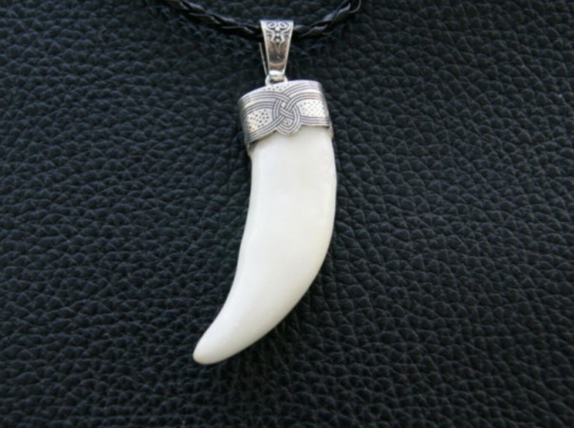 Silver Wolf teeth jewelry Animal Teeth Wolf necklace Wolf head Tooth necklace