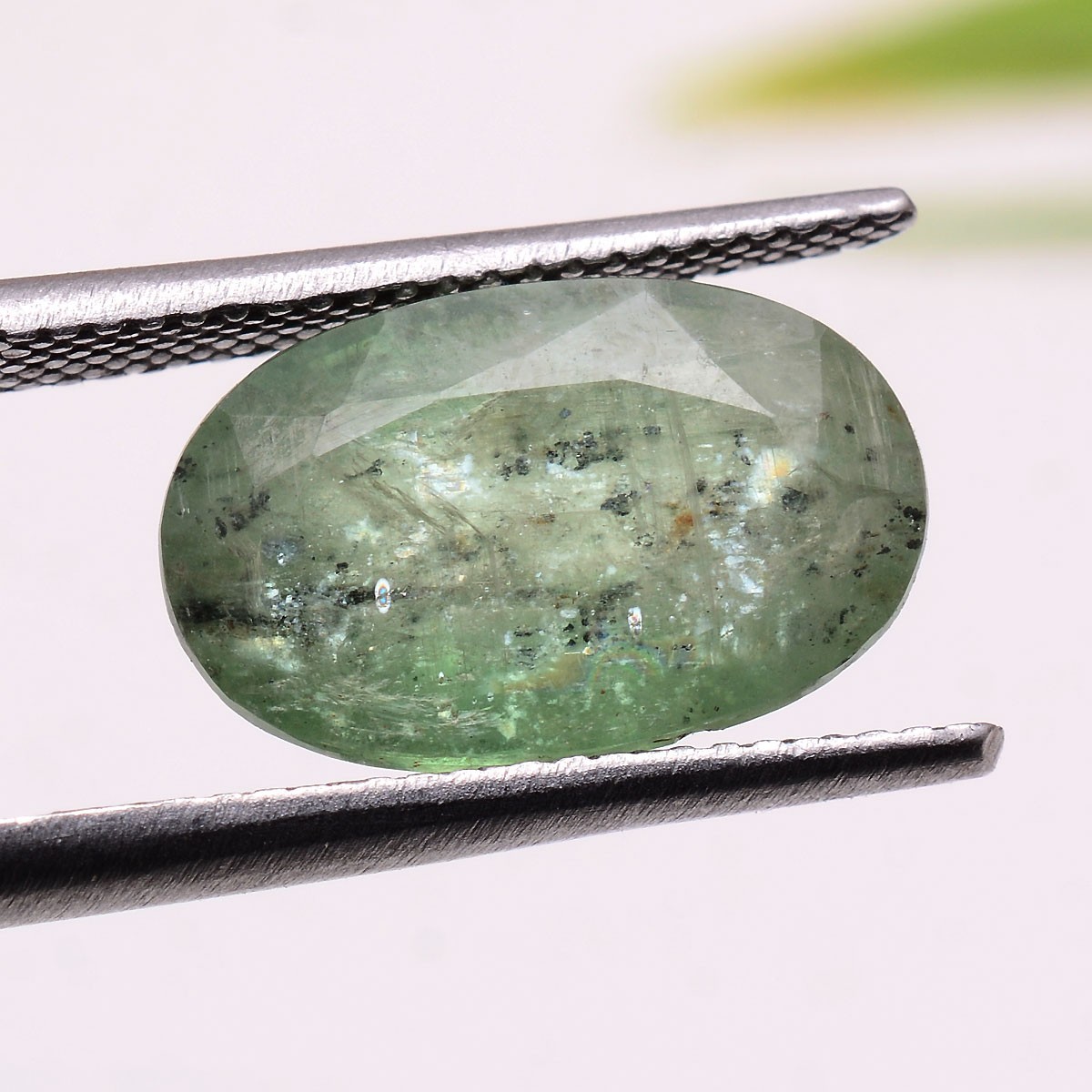 6.40 Cts Natural Green Kyanite 14mmx9mm Oval Cut Untreated Dazzling Gemstone