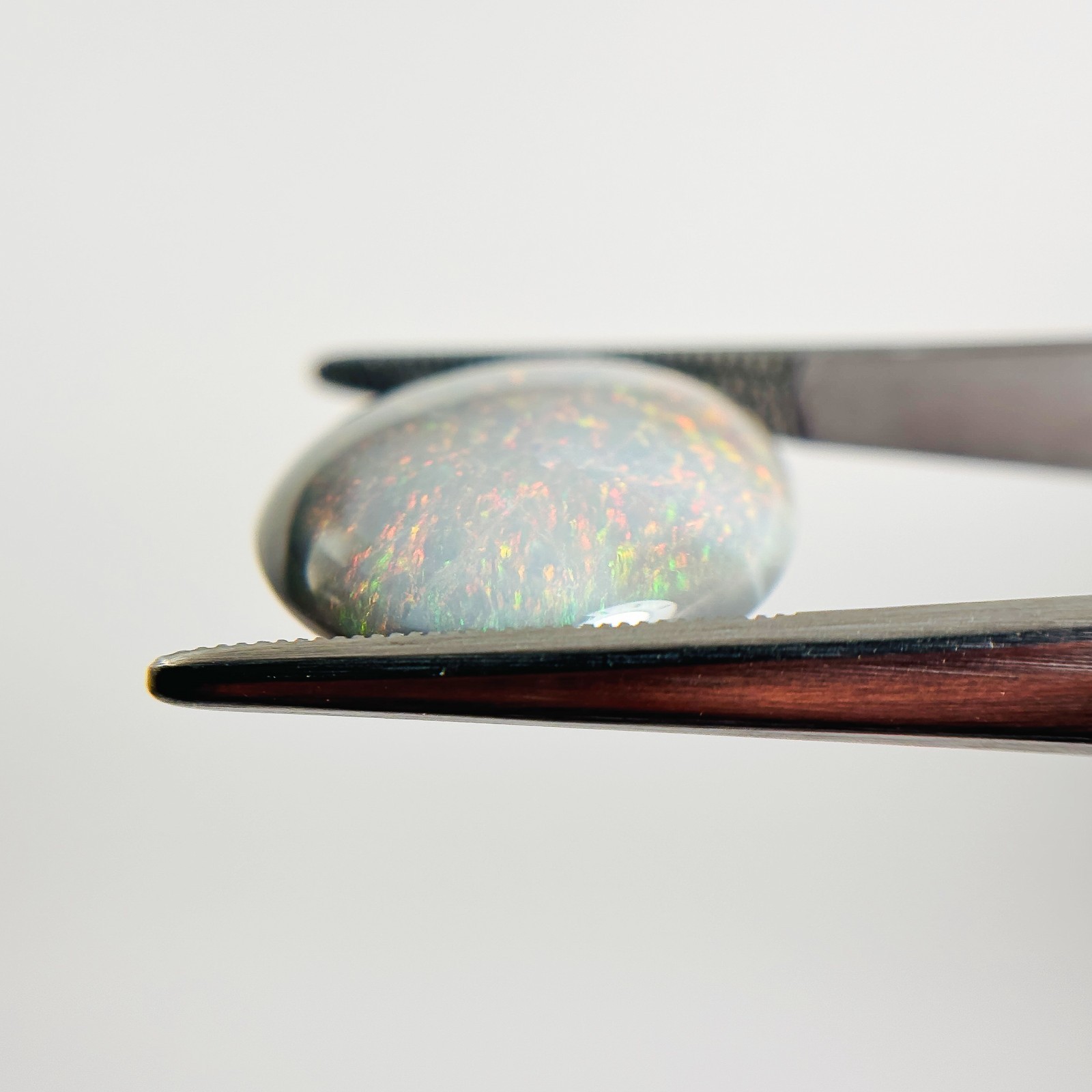 Semi Black Opal Multicolour 21x17x5.5 Cabochon Oval 11.90 Carat OPAL115