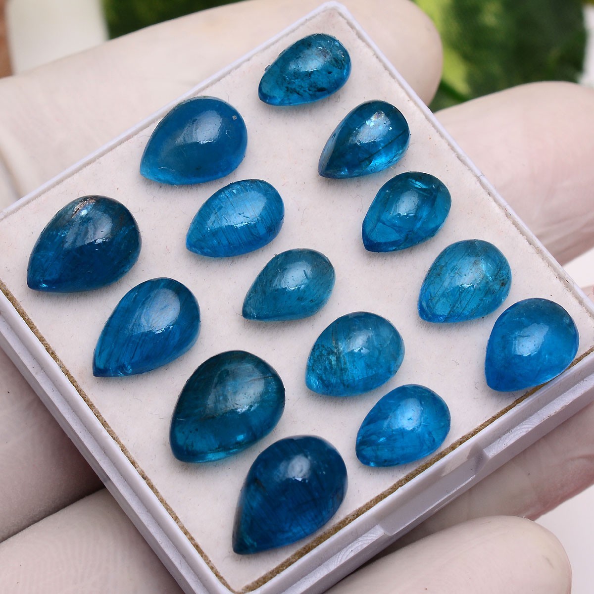 Set 14 Pcs Natural Apatite Untreated 8mm-12mm Pear Stunning Loose Gemstones Lot
