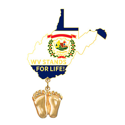 Precious Feet, 14K Gold Plated, West Virginia Flag Jewelry, Lapel Pin