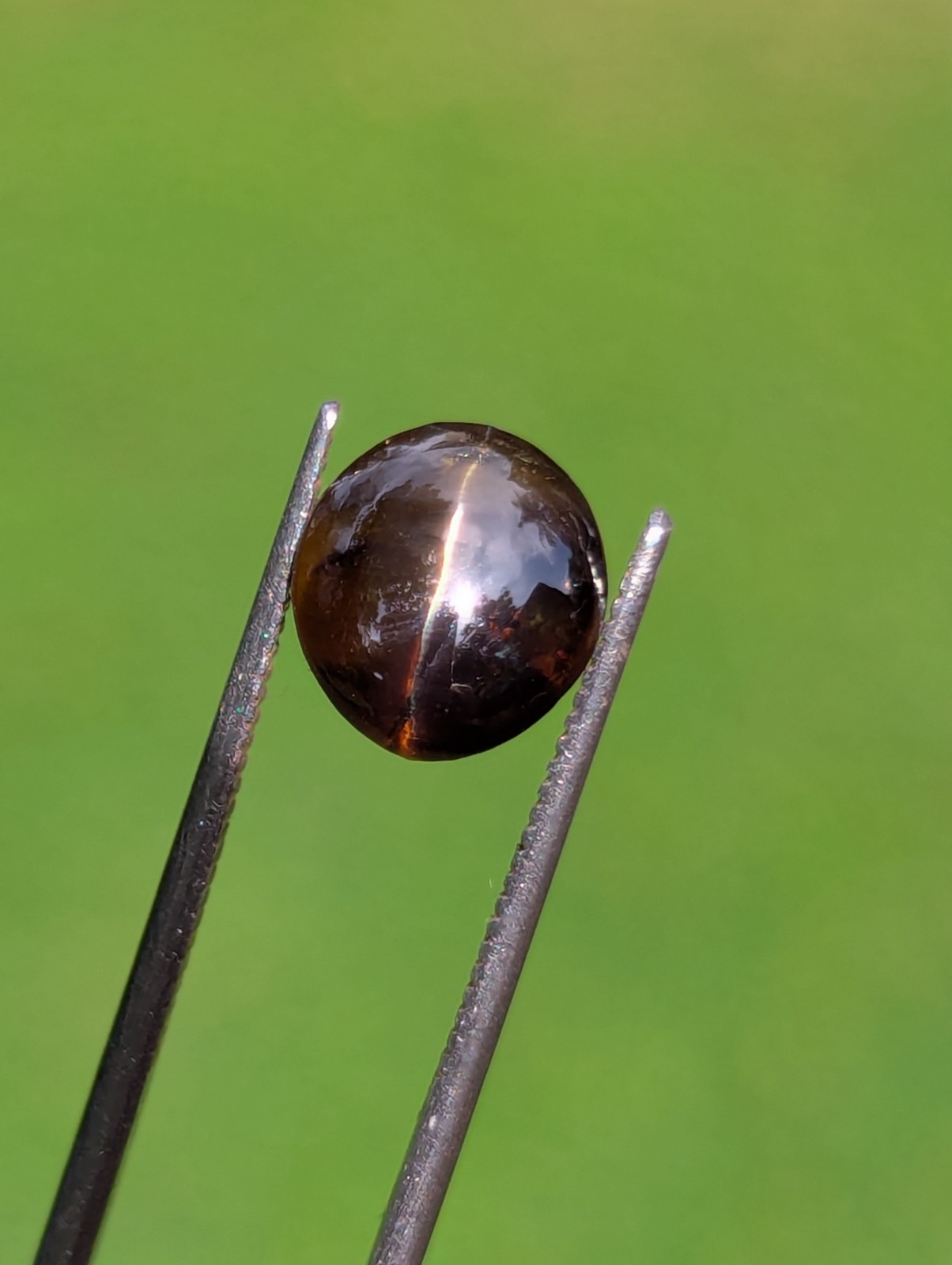 Natural Chrysoberyl Cat’s Eye 3.19ct | CSL Certified | Brown | No Treatment