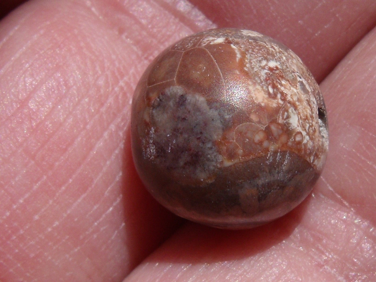 13.11 Ct. Mexican Cantera fire opal bead