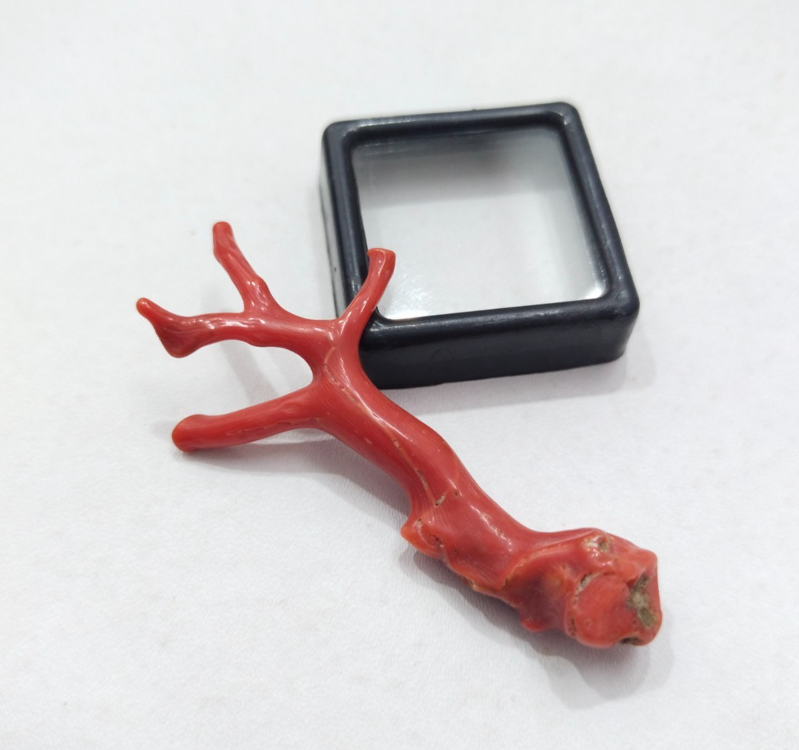 Genuine Undyed Red Coral Branch Gemstone, Italian Reef Coral for Jewelry Making