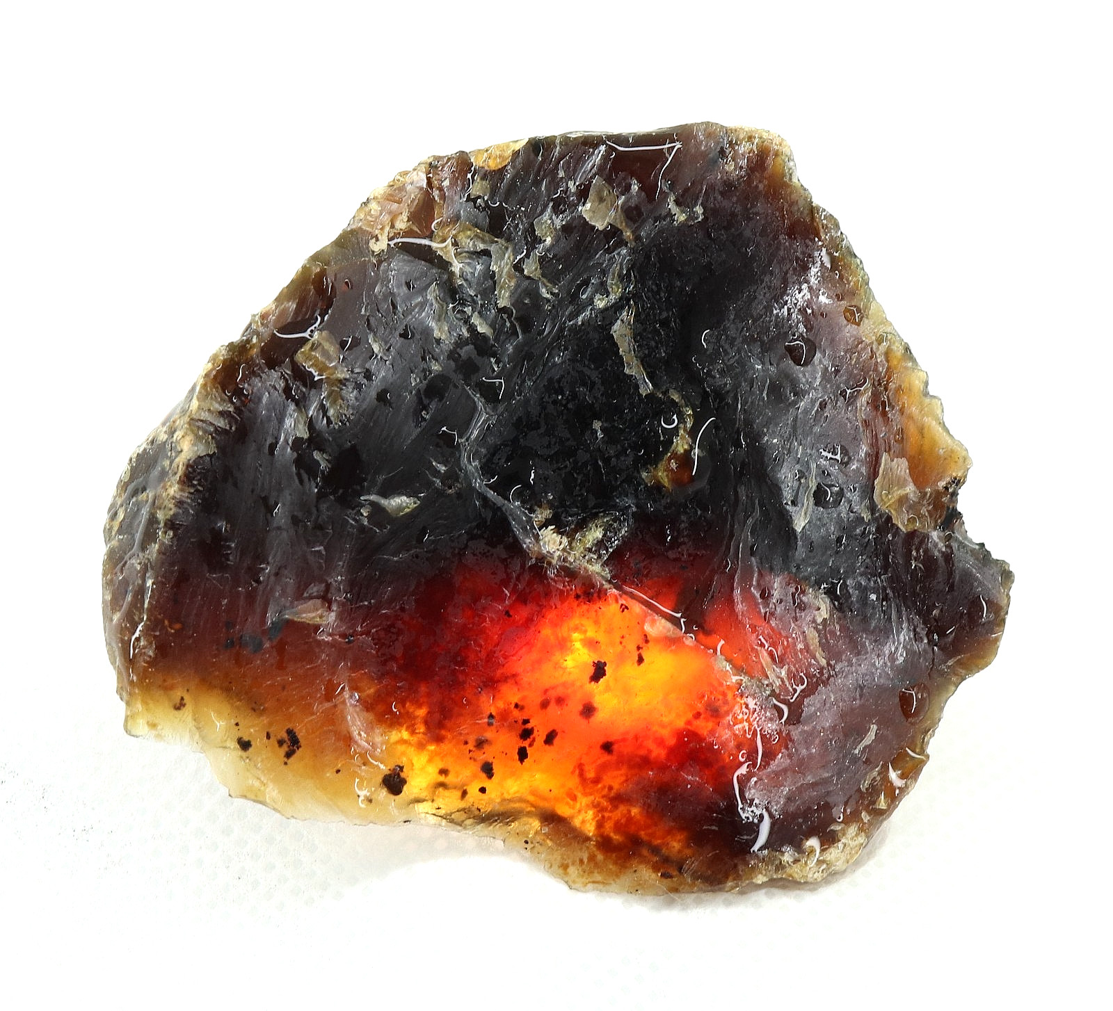 Natural Honey Baltic Amber Untreated Specimen Certified Rough Gemstone 122 Ct.