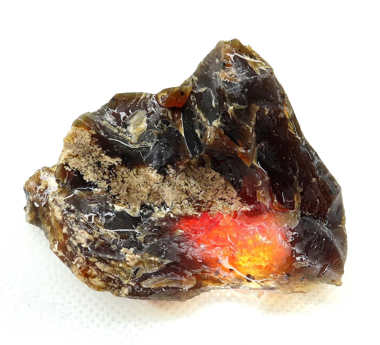 Natural Honey Baltic Amber Untreated Specimen Certified Rough Gemstone 122 Ct.