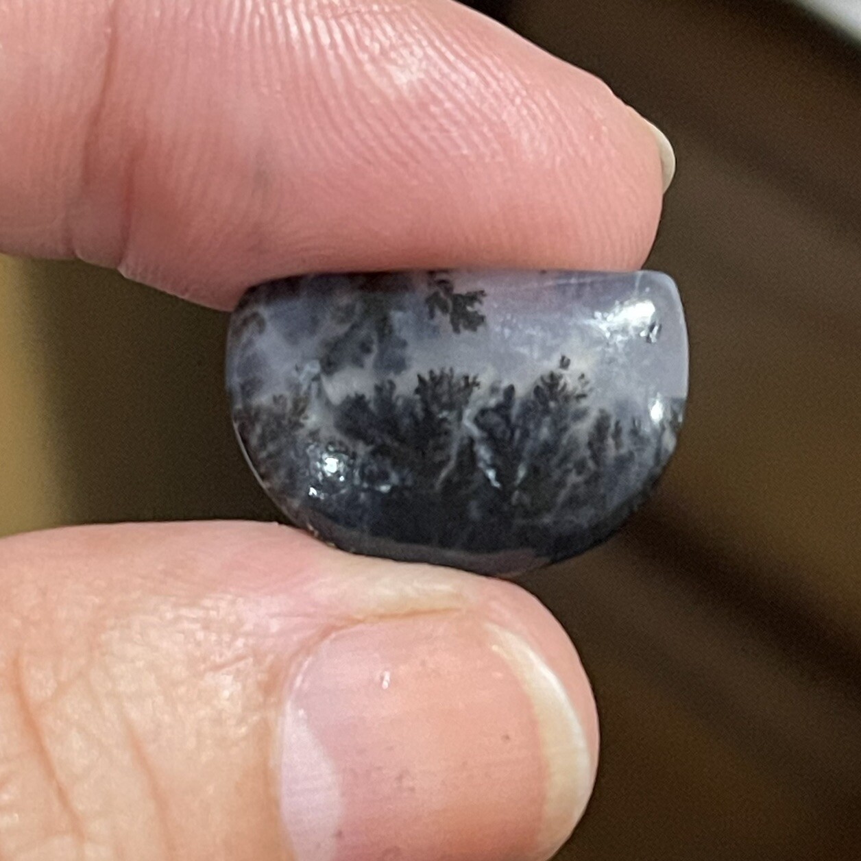 7ct 19.3x13x4mm Fine Dendritic Agate Smooth Cabochon Loose Picture Stone