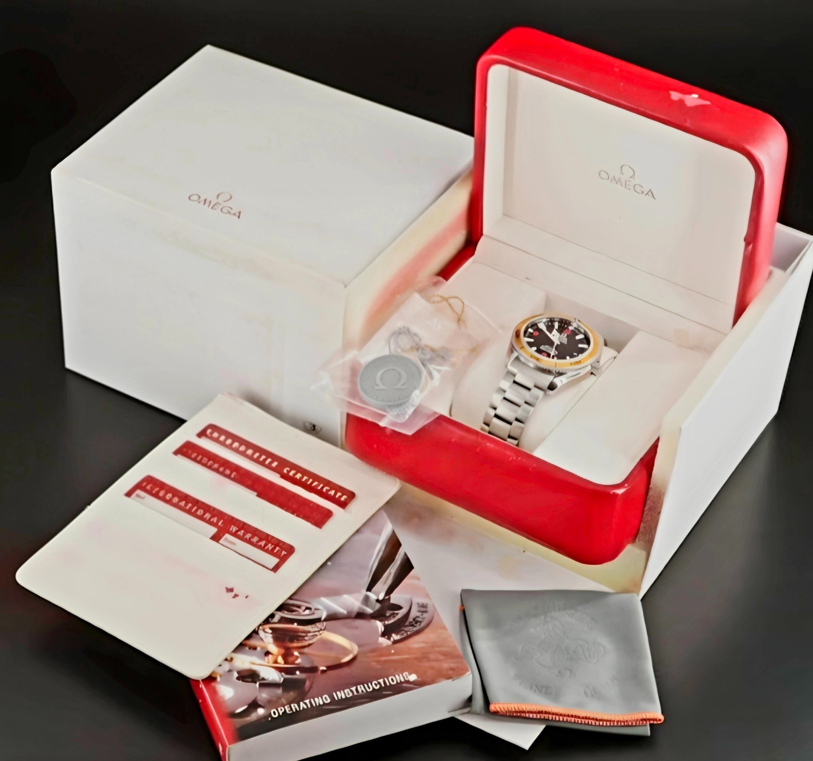 Sharp 2008 OMEGA Seamaster Planet Ocean 600m 45.5mm – 2208.50.00