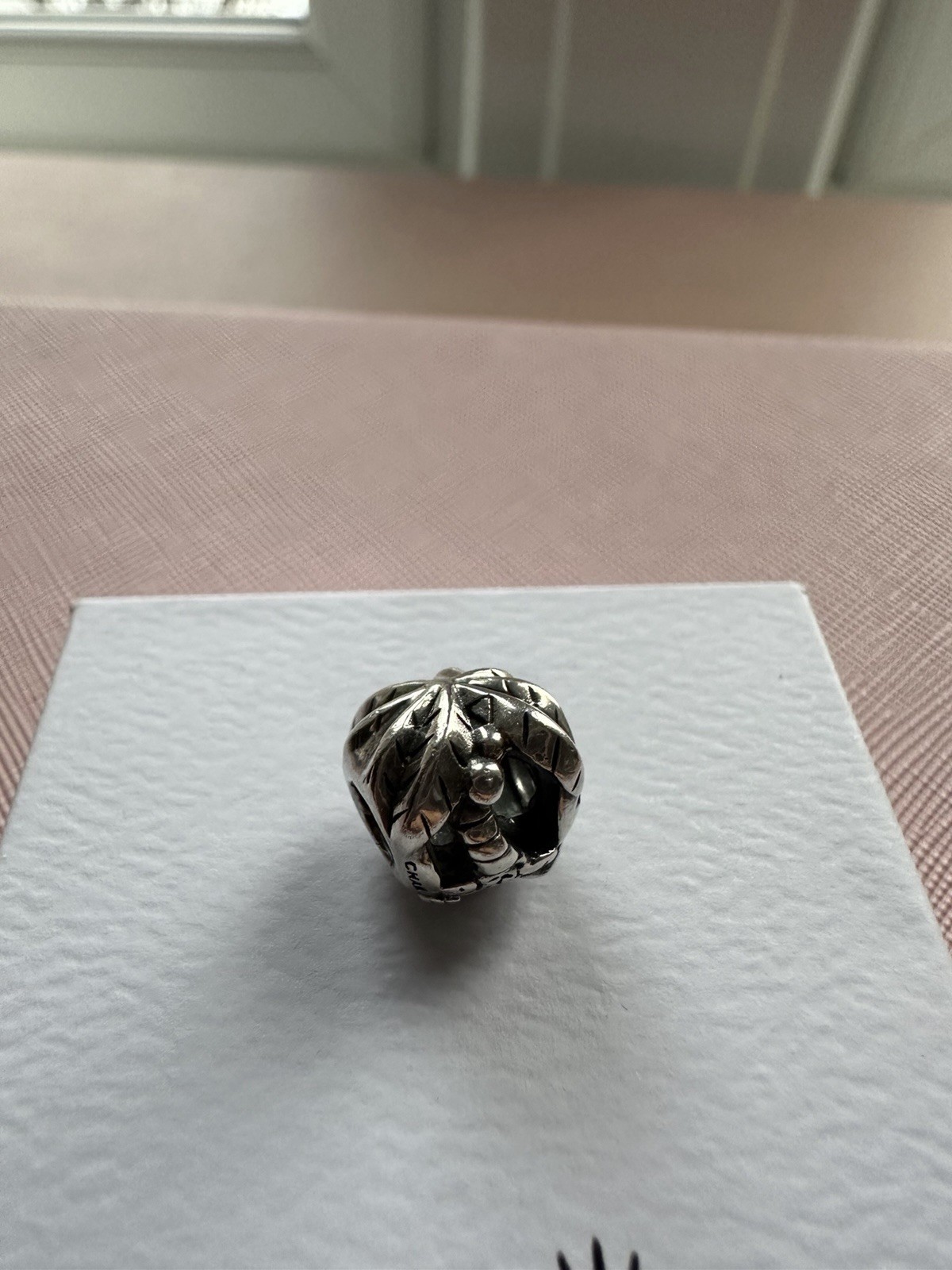 Set Of Genuine Chamilia Charms Sterling Silver Stamped Cham 925