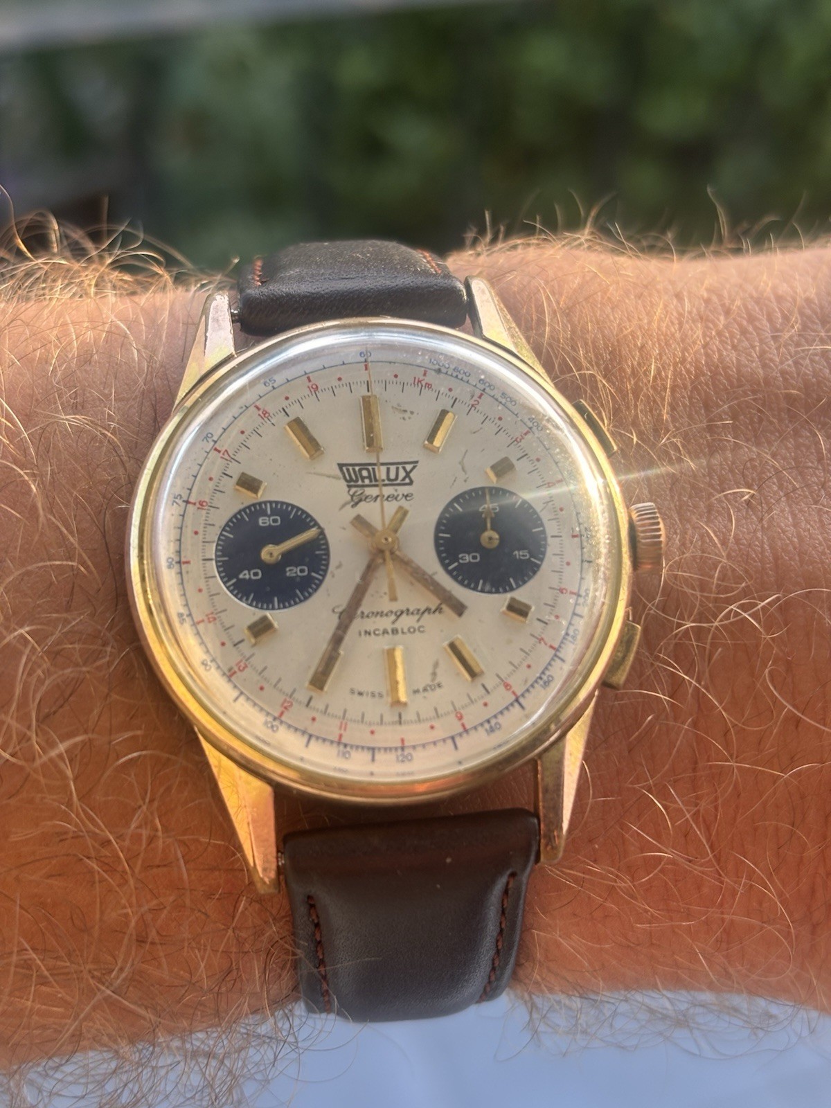 Fully Serviced! 1960s Vintage Valjoux 7733 Chronograph, Walux Geneve, Panda