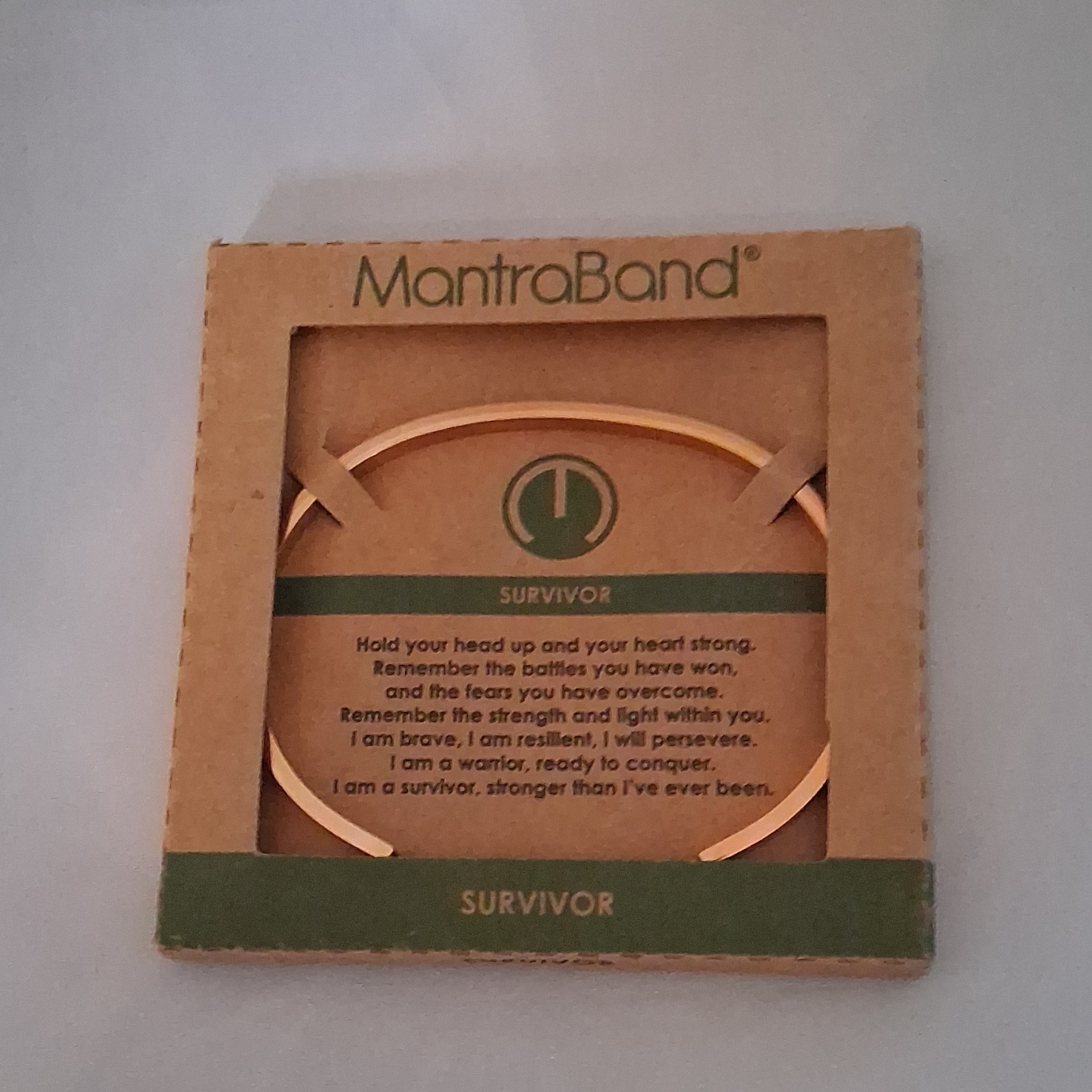 MantraBand Survivor Gold Stainless Steel Adjustable Engraved Bangle
