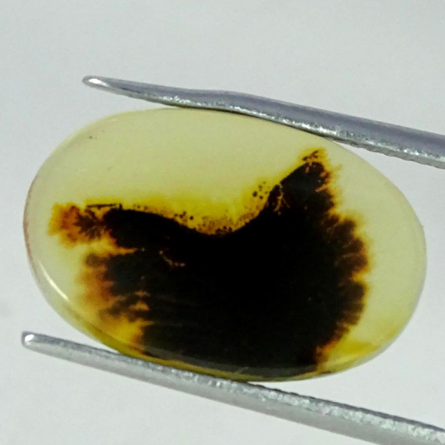6.40Cts Superb Natural Shazar Dendritic Agate Oval Cabochon 12X19X3MM