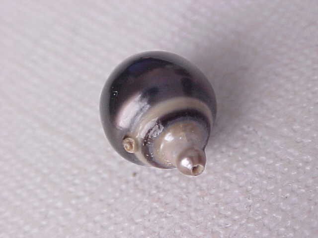 10.2MM X 14MM AAA GENUINE TAHITIAN PEARL HALFDRILLED #243