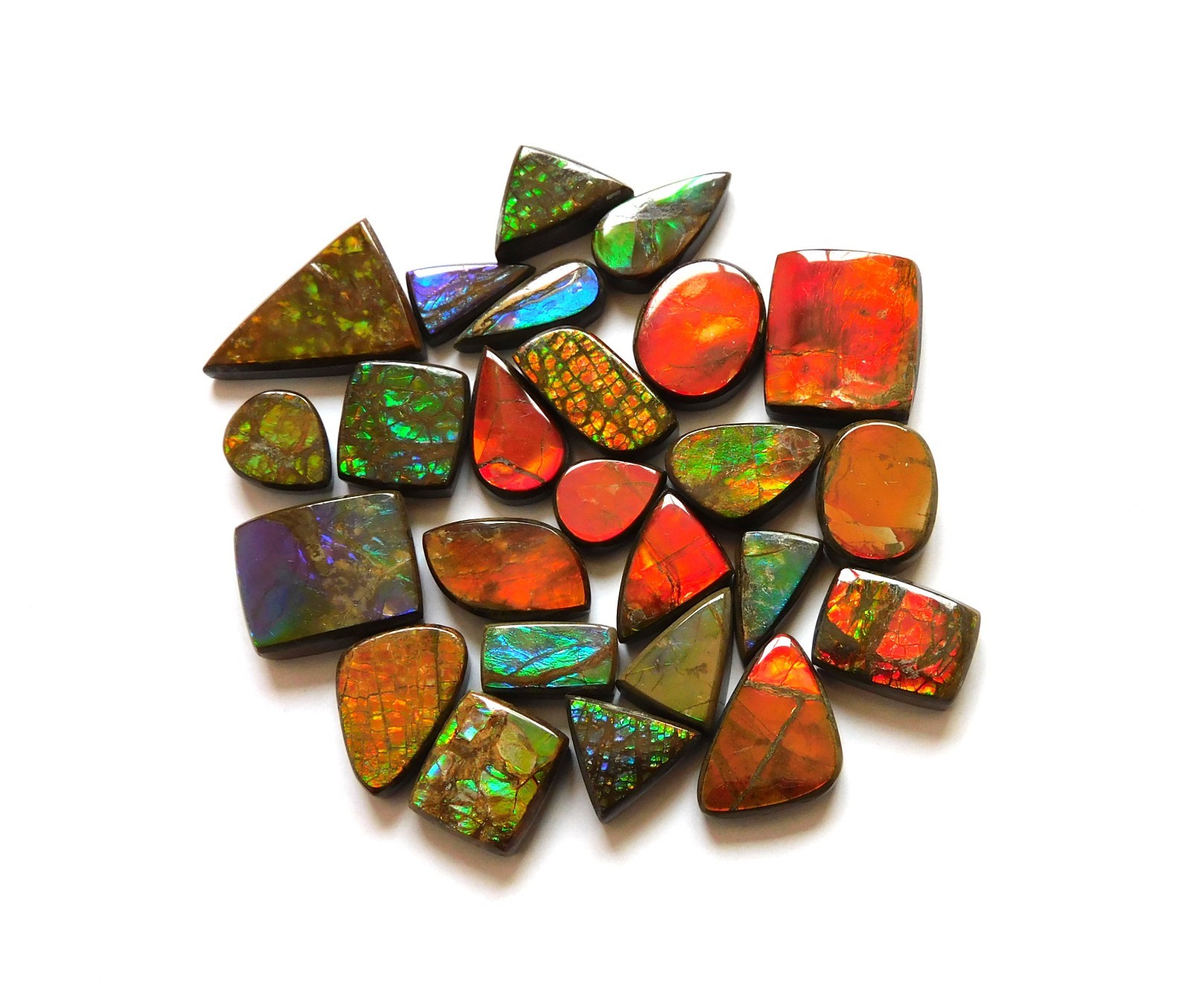 121.65 Cts Natural Ammolite 25 Pcs Lot Loose Cabochon Gemstone CN07