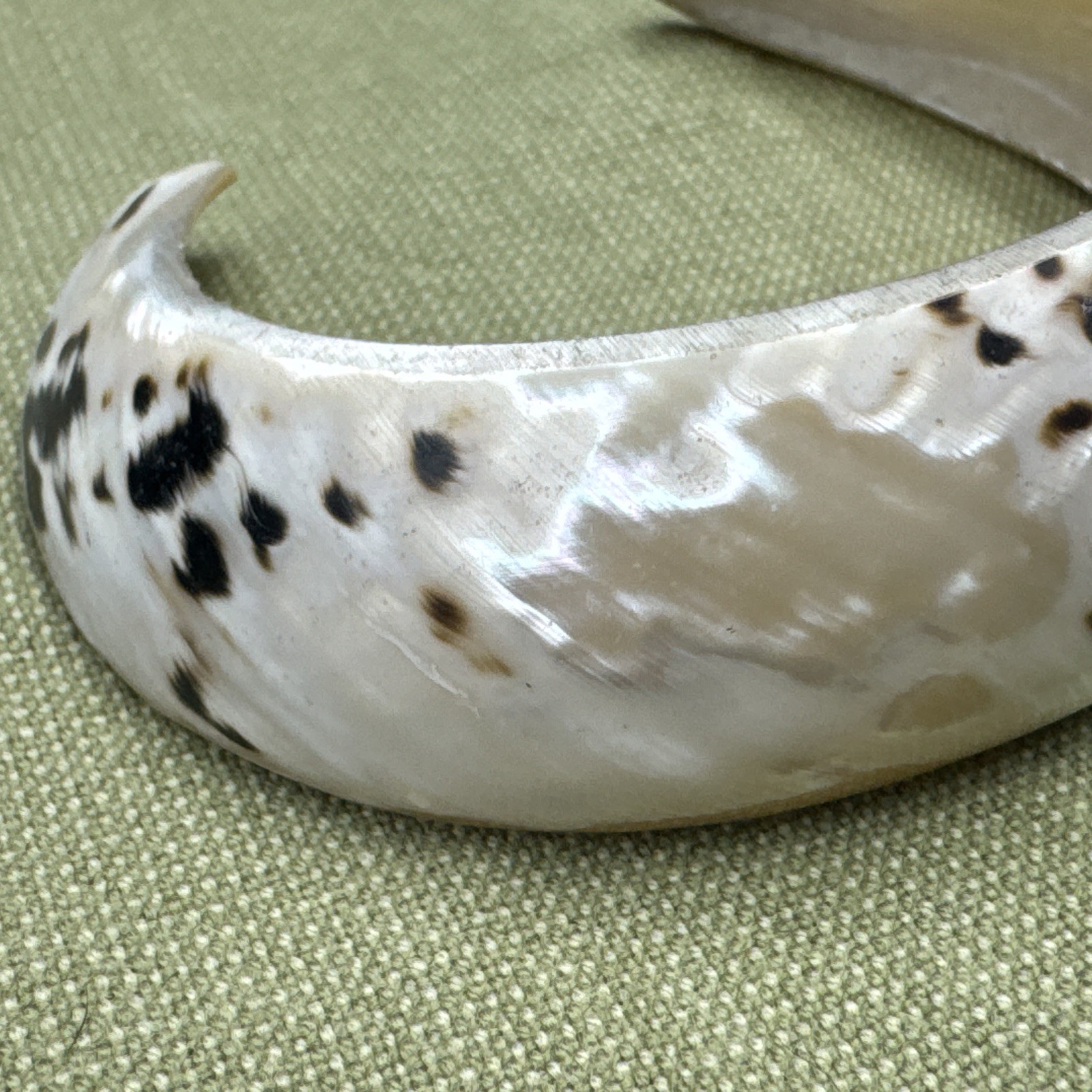 Sea Shell Bracelet Cuff -Black White Cream Hawaii Shell Section Cuff