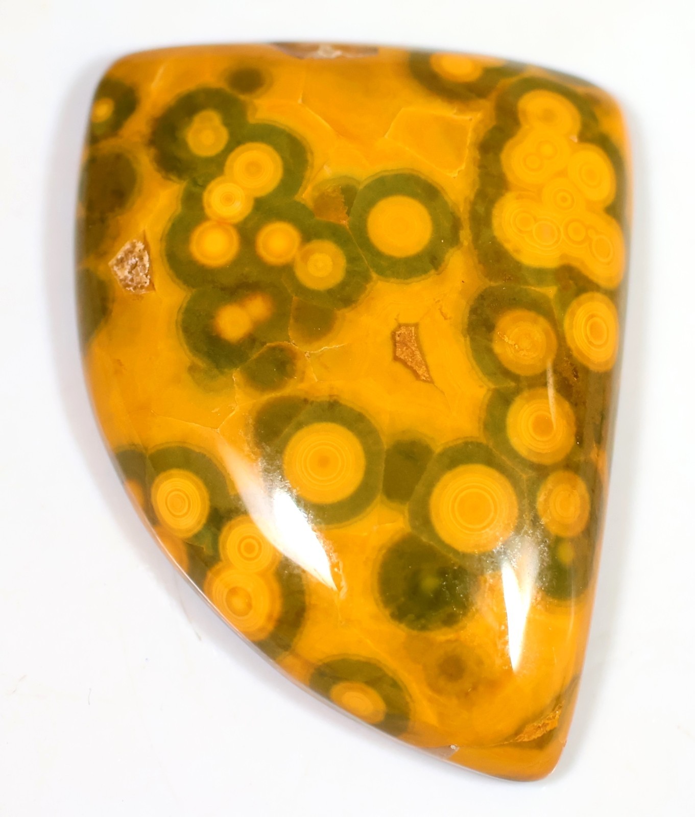31 CT 6X21X28 mm NATURAL ORBICULAR OCEAN JASPER FANCY CABOCHON GEMSTONE CU-120