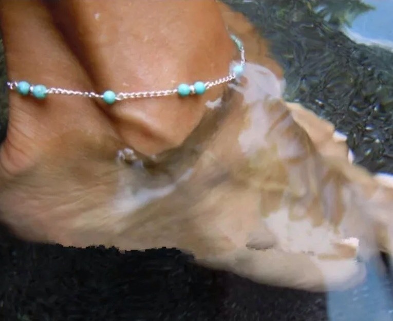 Women’s Fashion Jewelry 925 Silver Plated Turquoise Blue Anklet Bracelet 17-2