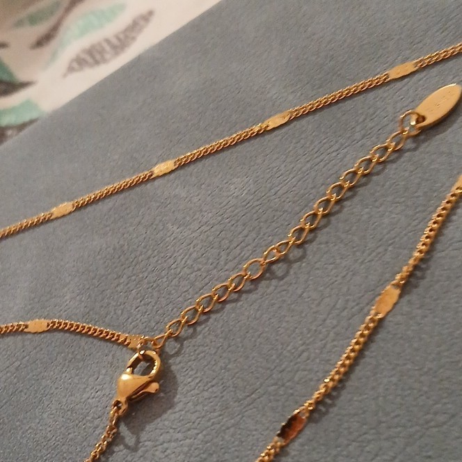 Gold Over Stainles Steel Butterfly Necklace Curb Link Chain Lobster Final Sale!