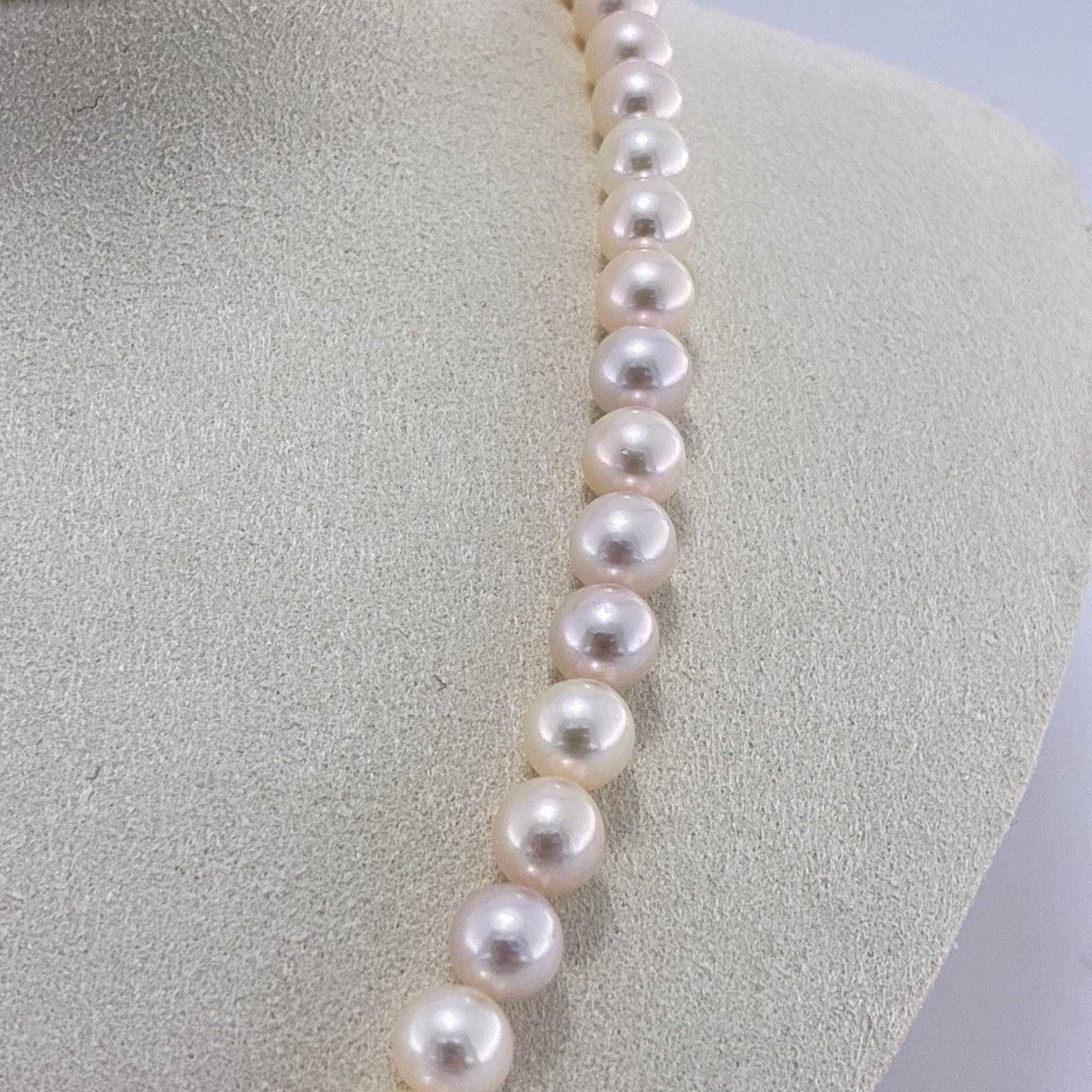 7-7.5mm Pearl Japanese Akoya White-Rose Necklace Silver 17.0″