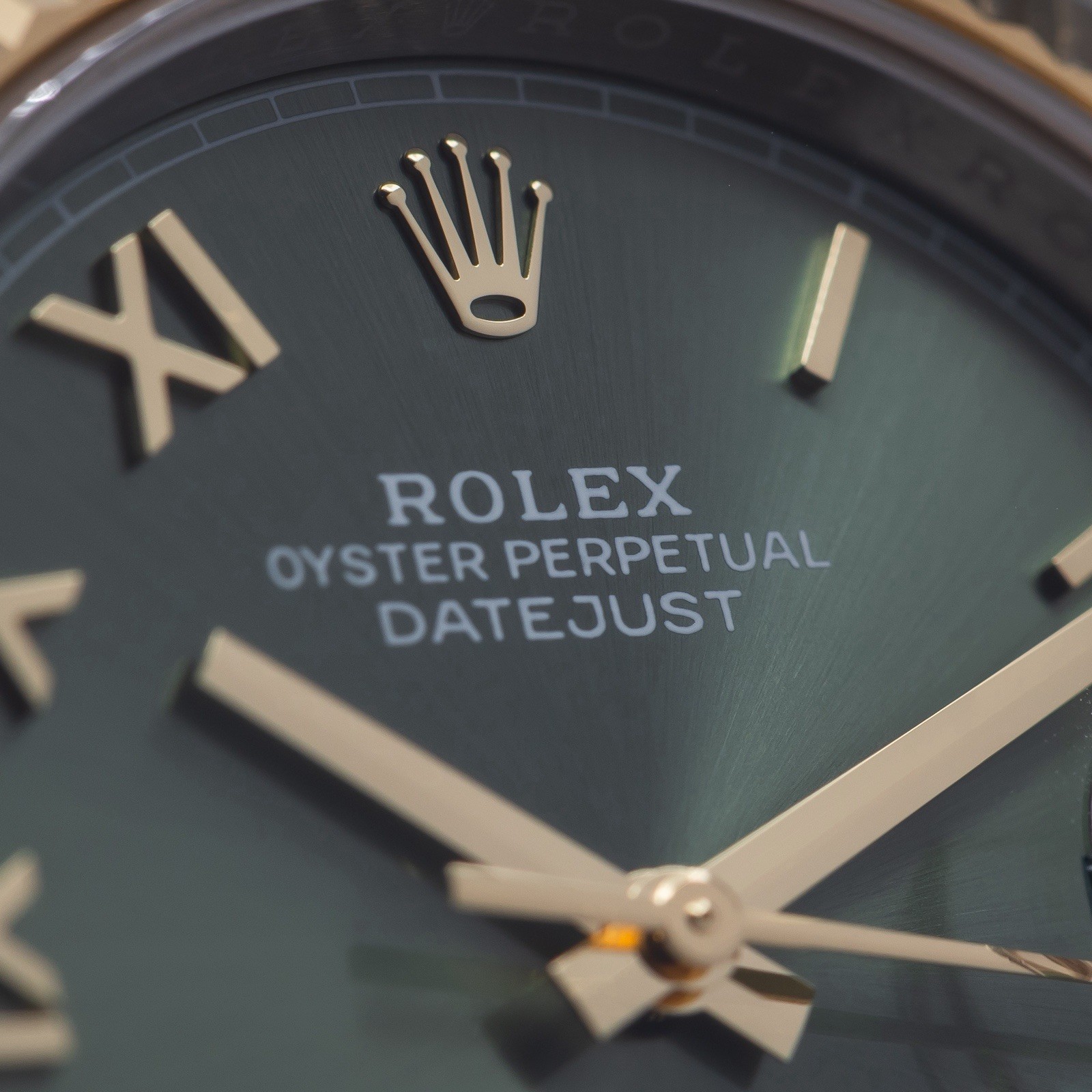 Rolex Datejust 41 126333 – Olive Green Dial | Brand New 2026 Complete Set
