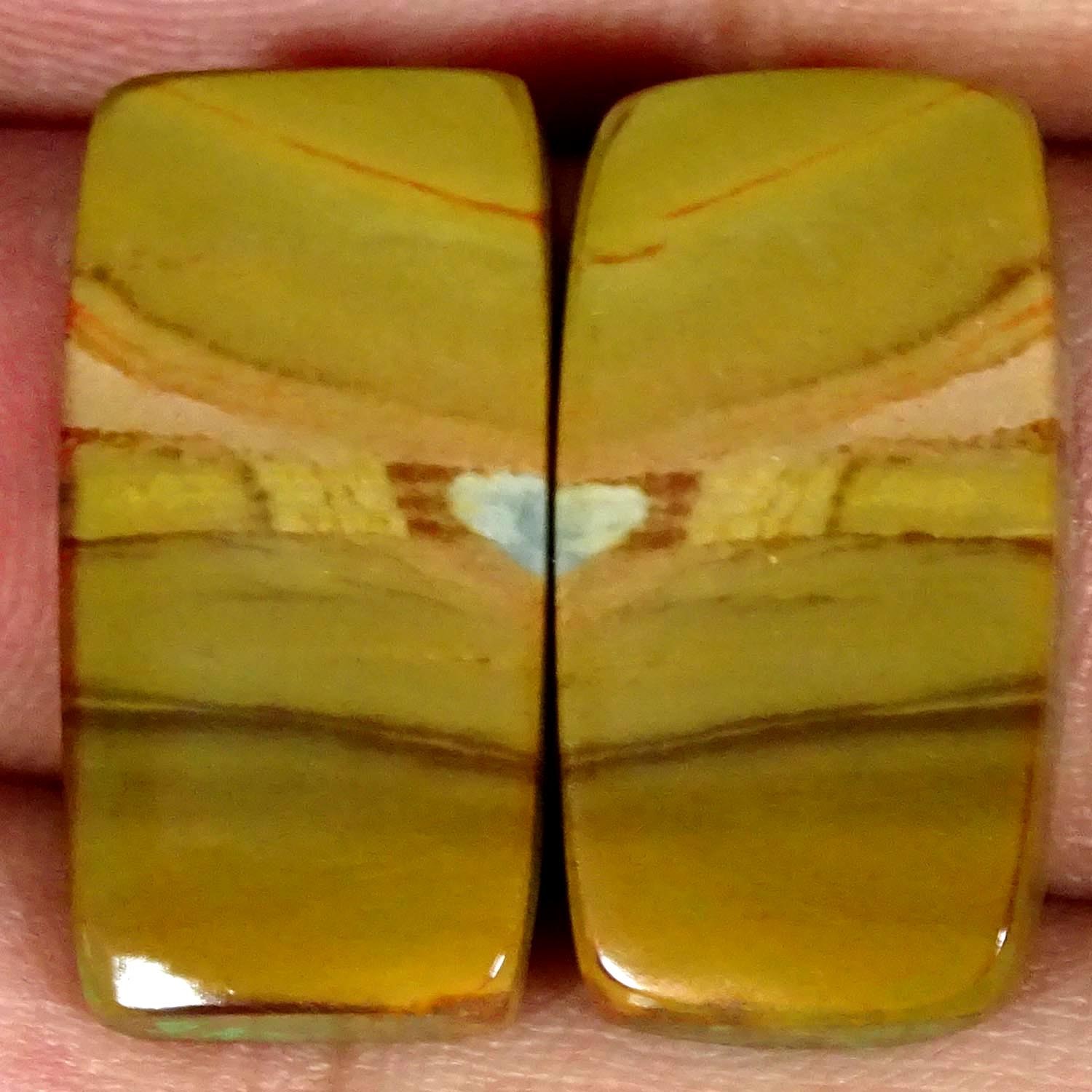 23.10Cts Natural Polygram Jasper Pair Cushion Cabochon Gemstone 12X23X4MM