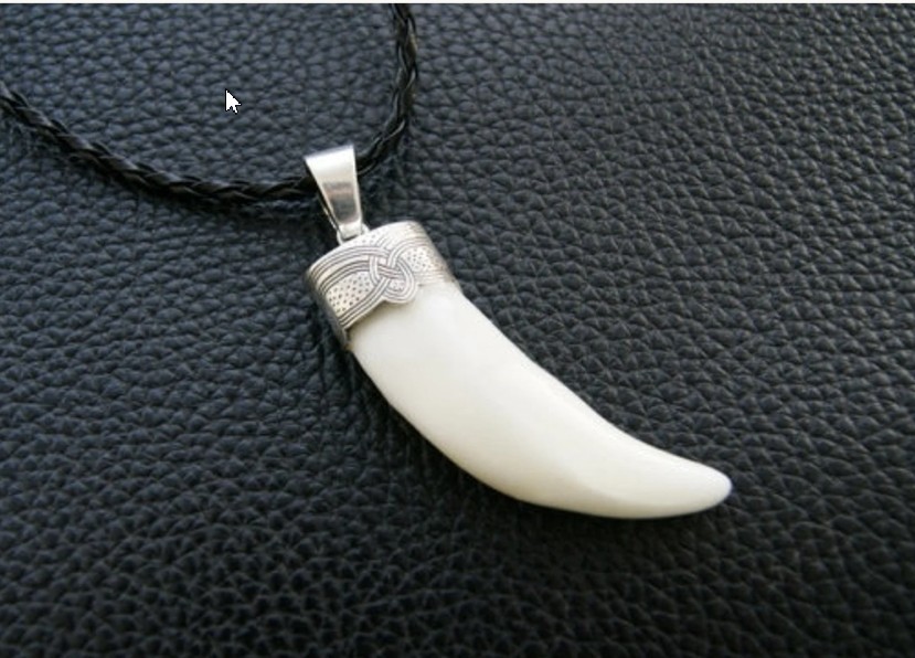 Silver Wolf teeth jewelry Animal Teeth Wolf necklace Wolf head Tooth necklace