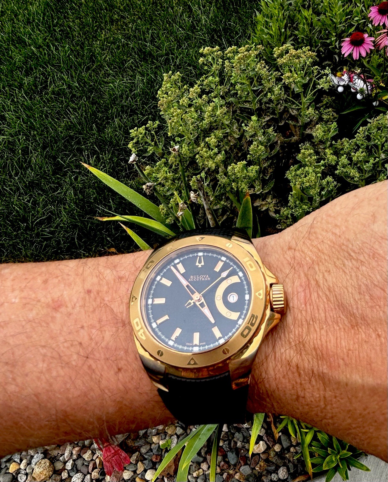 Bulova Accutron Curacao 64B108 Swiss SW200 Automatic 300M Dive Watch Full Kit