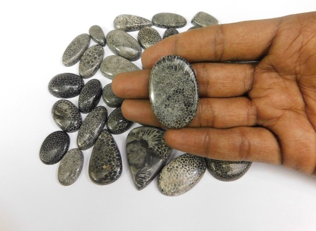 Natural Black Fossil Gemstone Cabochon, Best For Unique Jewelry Creation 71302