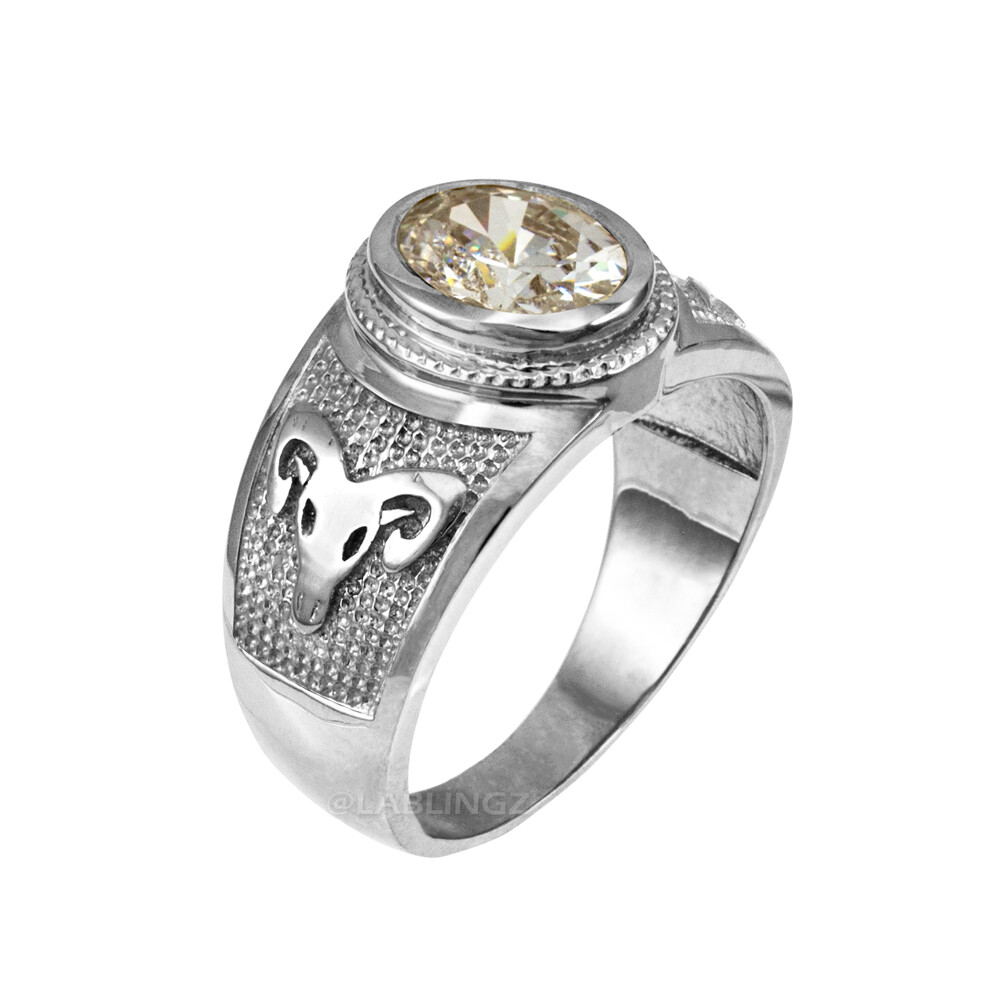Sterling Silver Zodiac Sign Birthstone CZ Ring