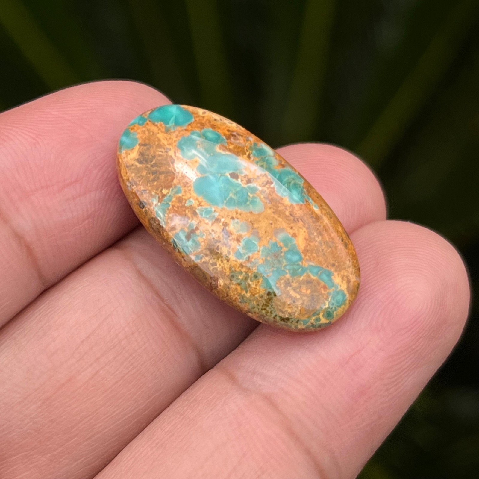16.55 Cts Top Grade Persian Turquoise Rare Color Gold Vein Loose Stone 26x14x7