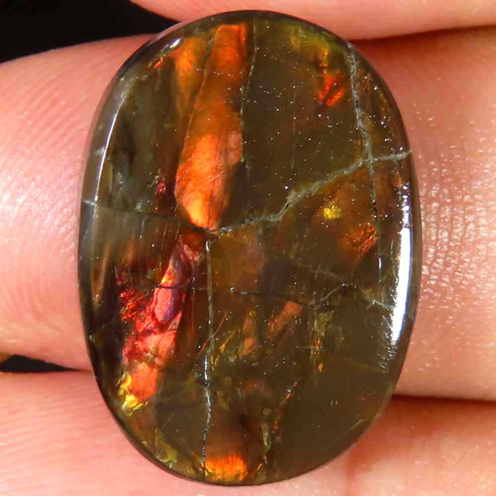 13.90Cts Charming 100% Natural Ammolite Canadian Cab 15x21x4mm Original Gemstone