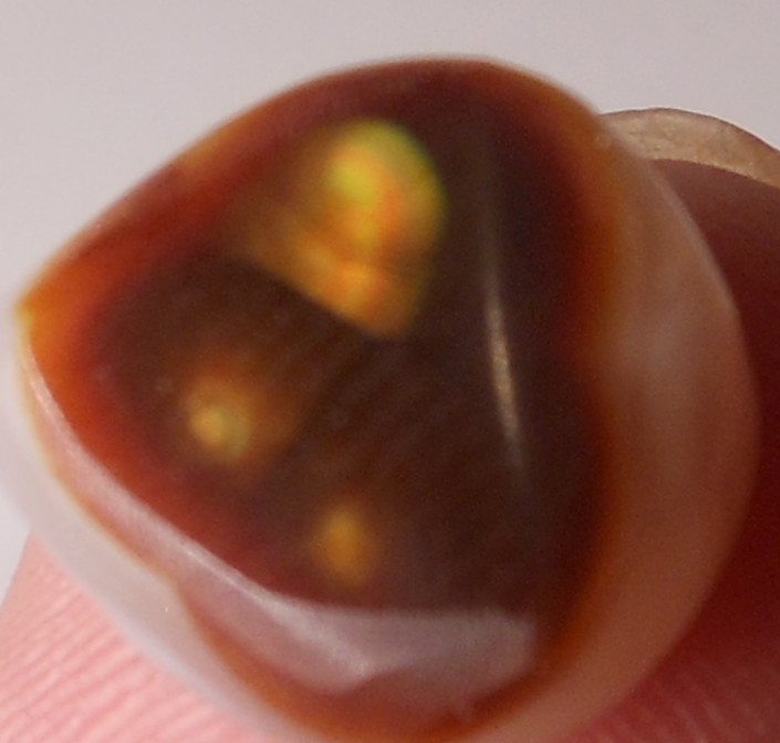 7.50ct Mexican Fire Agate 13.1mm x 11.6mm x 5.6mm