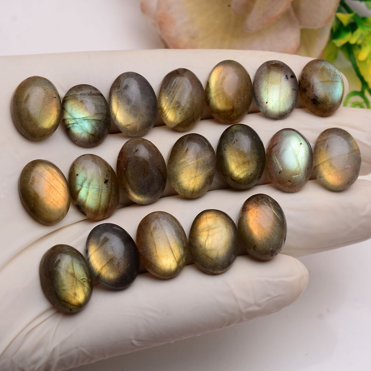 12 Pcs Natural Labradorite Flashy 16mmx12mm Oval Cabochon Loose Gemstones Lot