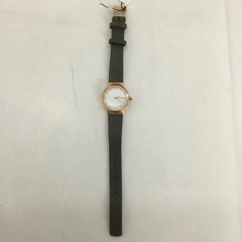 SKAGEN Analog (Quartz) Wristwatch Watch Analog (Quartz) SKW2669 with Box USED 2N