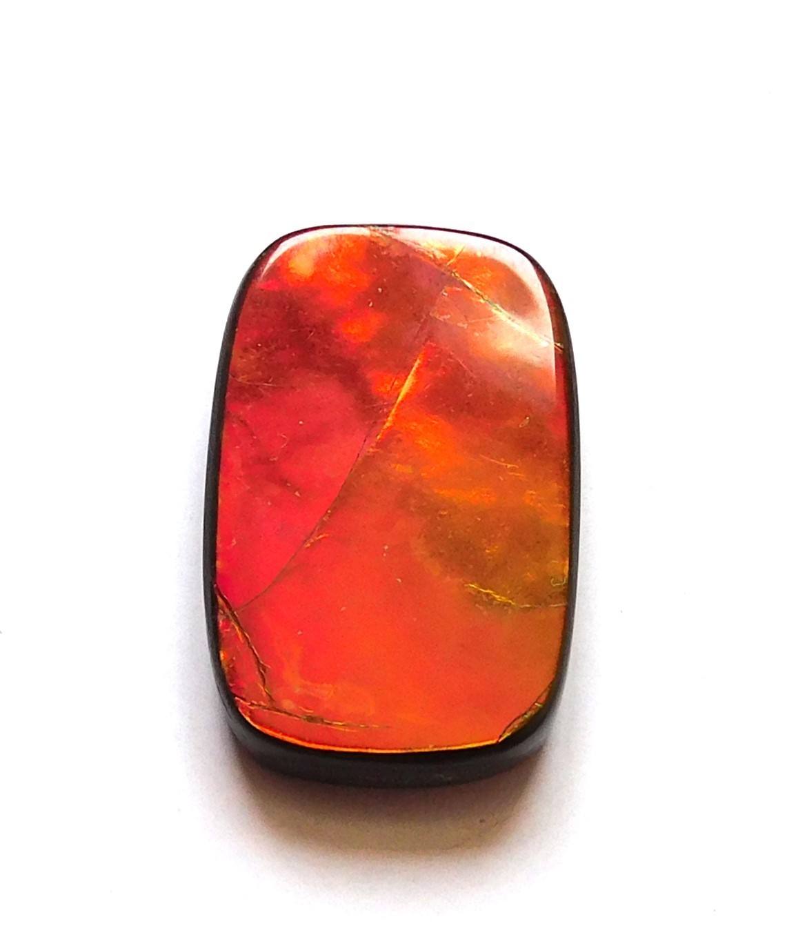13.45 Ct Natural Canadian Ammolite Cabochon Loose Gemstone 20.6X13.2X4MM LT12